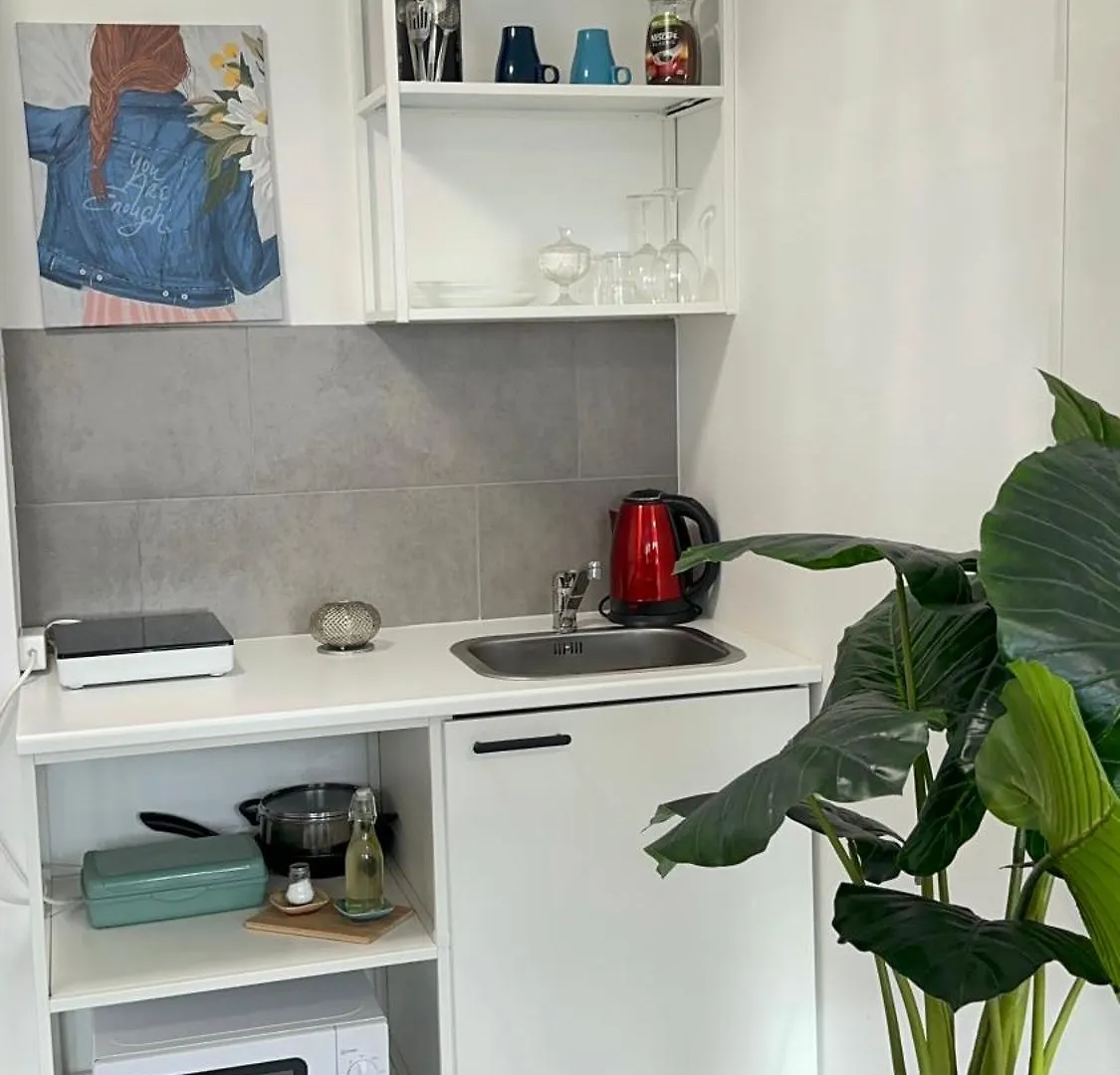 Private Studio mit eigene Küche und Bad Núremberg